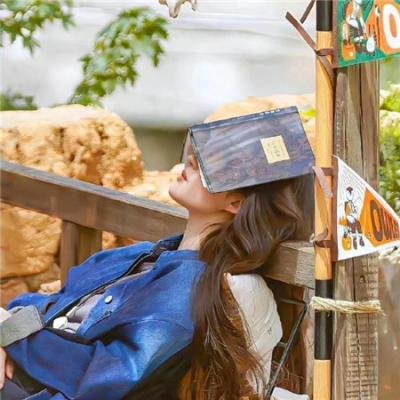 超能蚁男孩：红色怒火